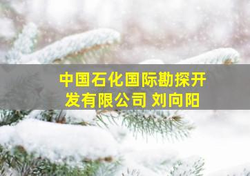 中国石化国际勘探开发有限公司 刘向阳